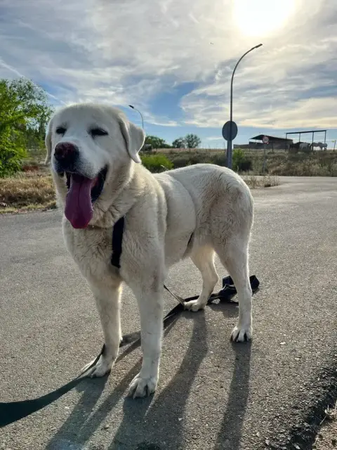 Luna