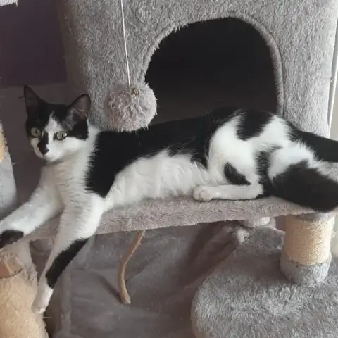 Zoe photo 3