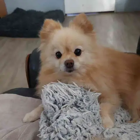 Maya photo 3