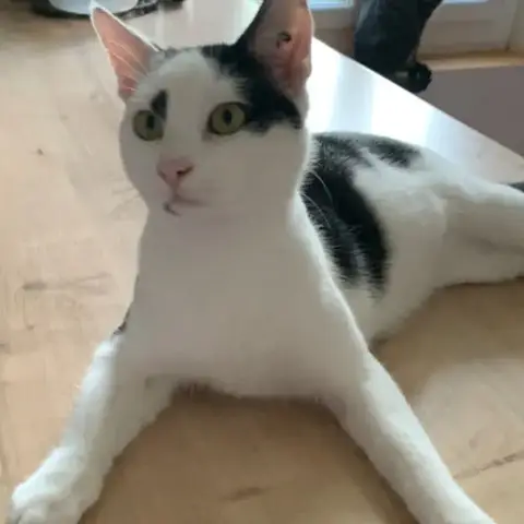 Zeus photo 3