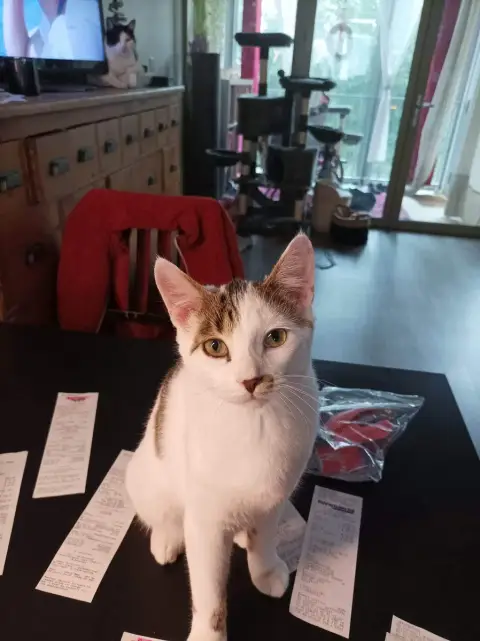 Titom