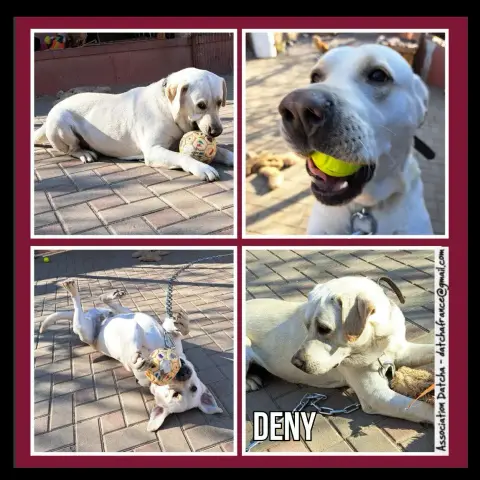 Deny