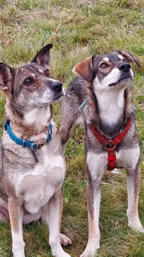 Moïra & Finn
