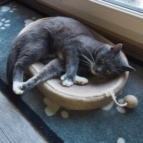 Titus photo 2