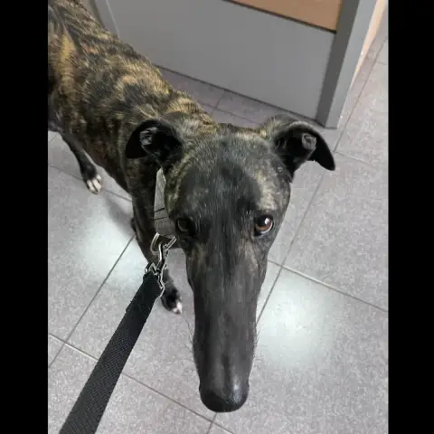 César photo 2