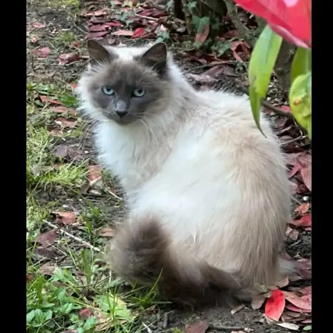 Bella photo 2