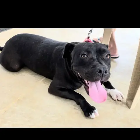 Xena photo 2