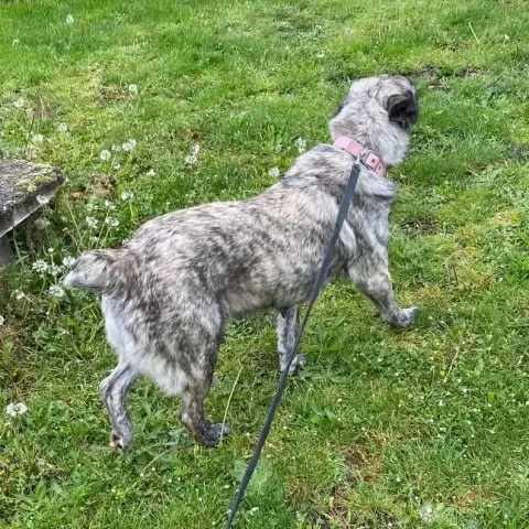 Bella