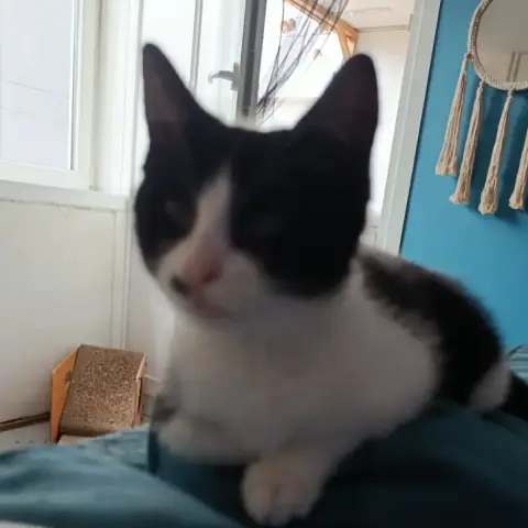 Lili photo 3