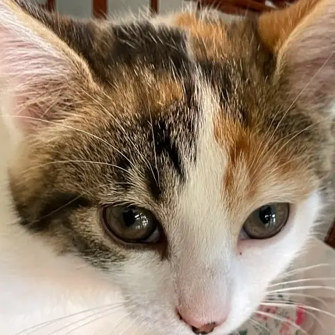 Sabrina photo 3