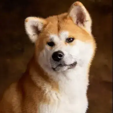 Achika