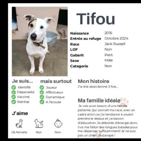 Tifou