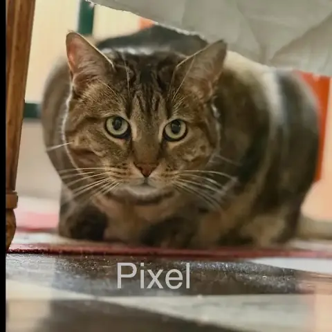 Pixel photo 2