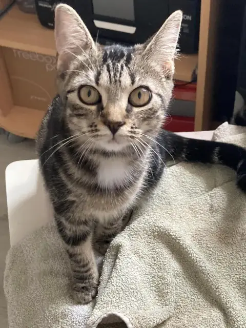 Keira
