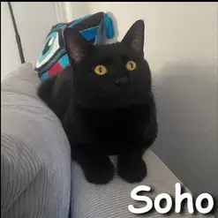 Soho
