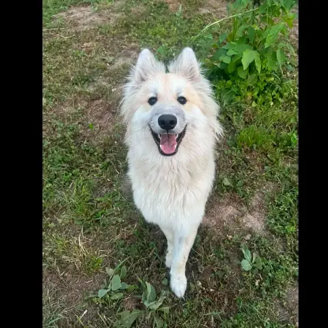 Victor