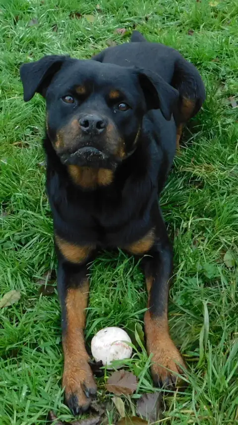 Ricxie photo 2