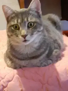 Chanceux