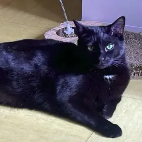Kuro