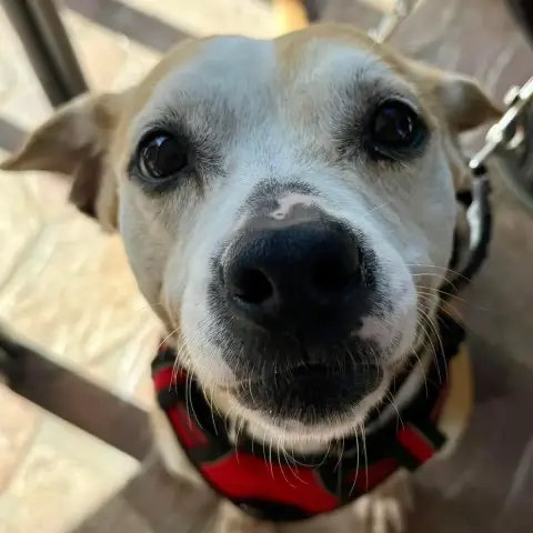 Molly photo 3