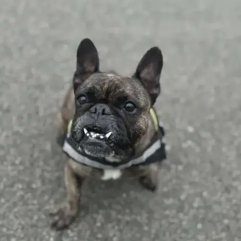 Coco photo 3