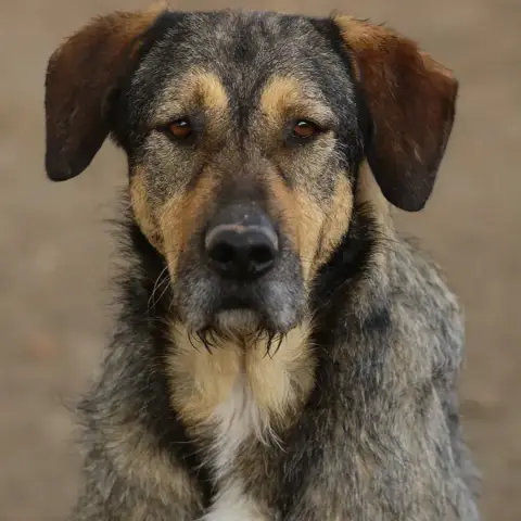 Ragnar