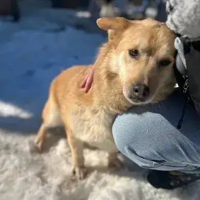 Sergei