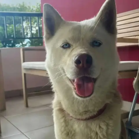Bonnie photo 3