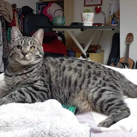 Bonnie