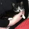 Squeezy