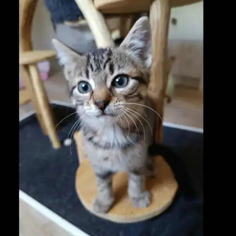 Billy