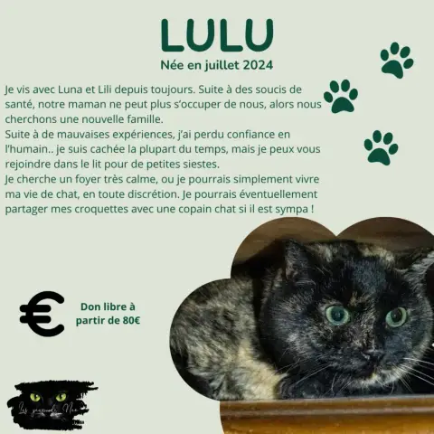 Lulu