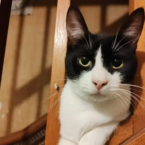 Olgato En Accueil Chez Nathalie
