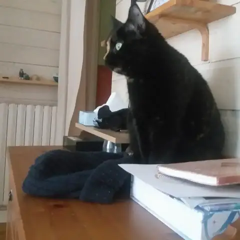 Luna photo 3