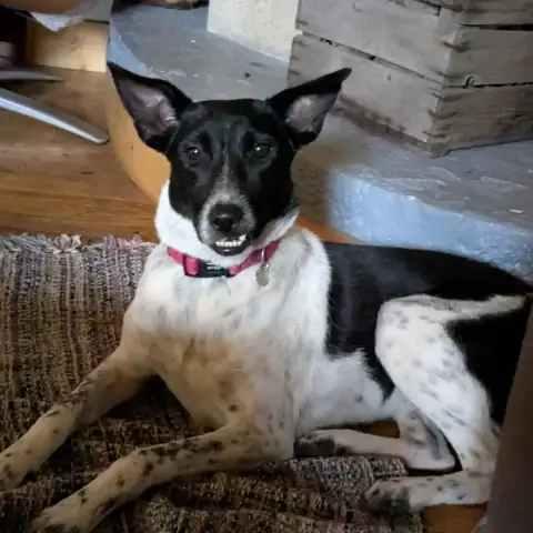 Lola