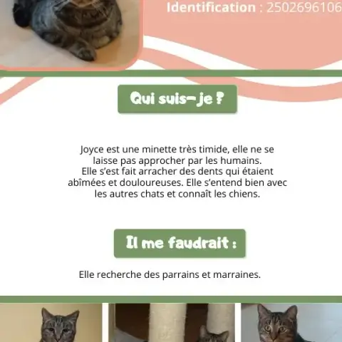 Joyce