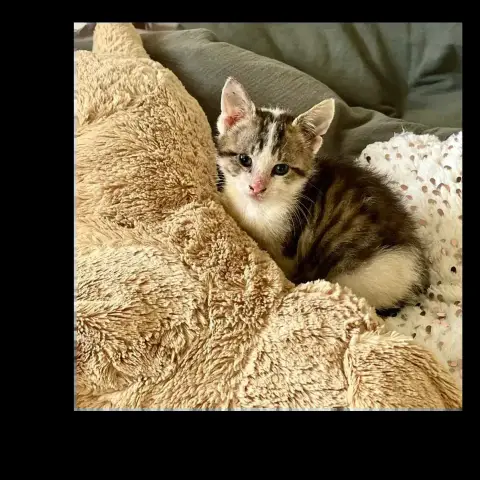 Billy