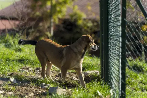 Roxy photo 2