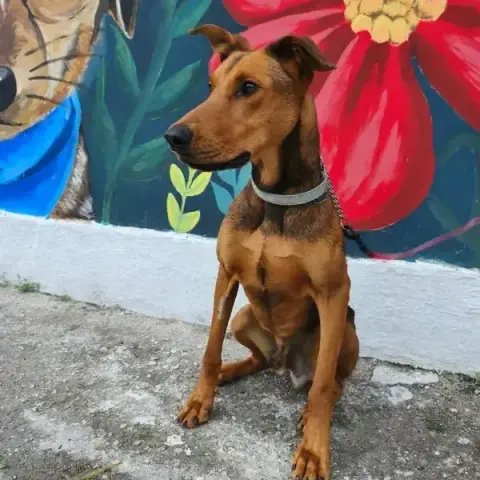 Zeus