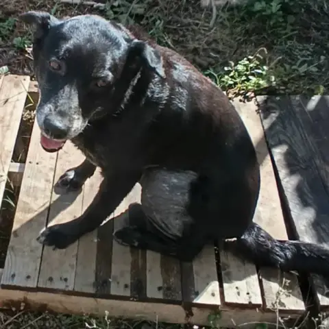 Charlotte photo 2