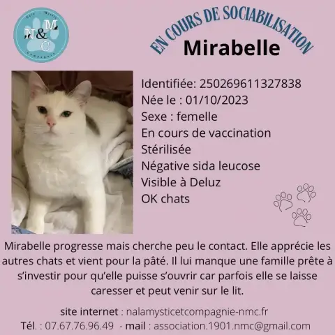 Mirabelle