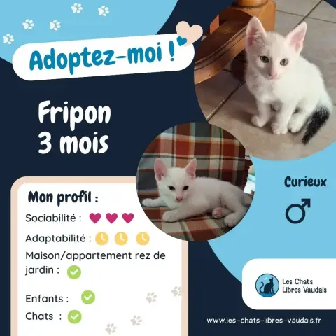 Fripon photo 3