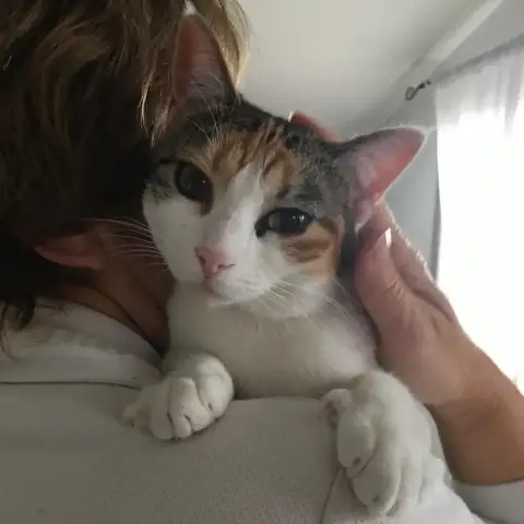 Poupette