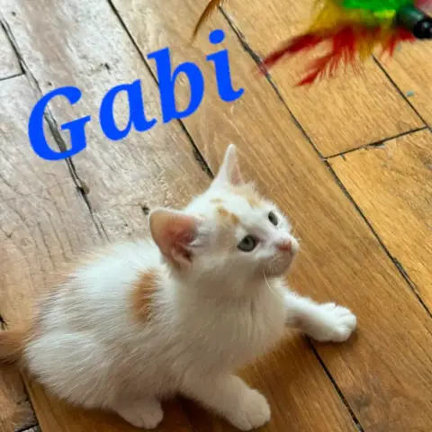 Gaby