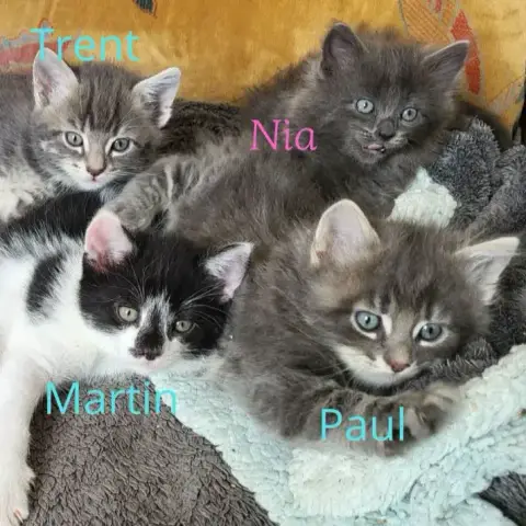 Paul photo 2