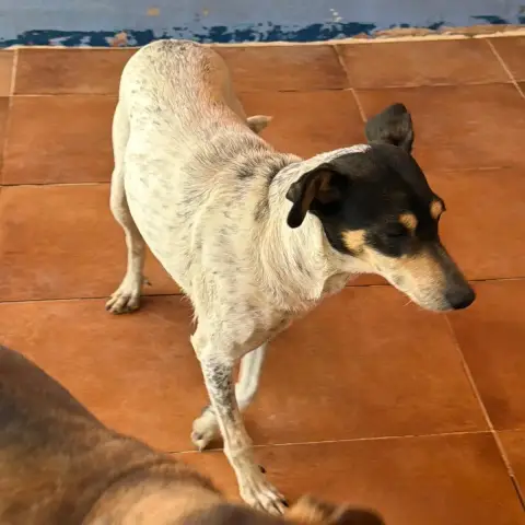 Maya photo 3