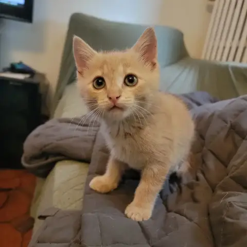 Billy