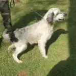 3686