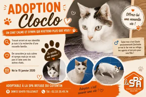 Cloclo