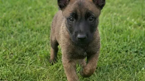 Don